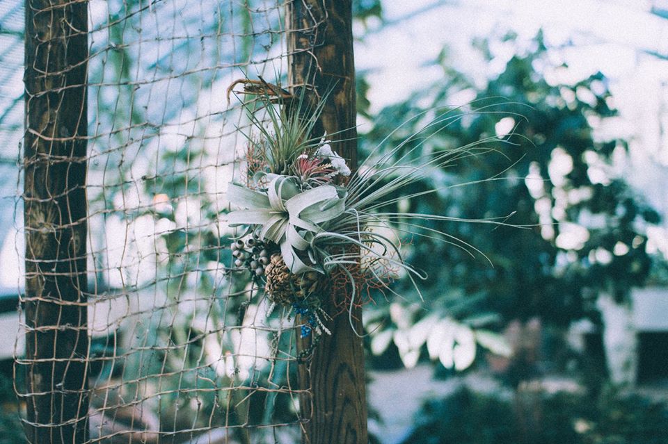 Jardin d’hiver— 植物創作工作坊 workshop