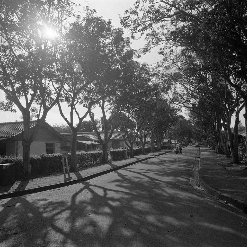 珍視台灣美好日常