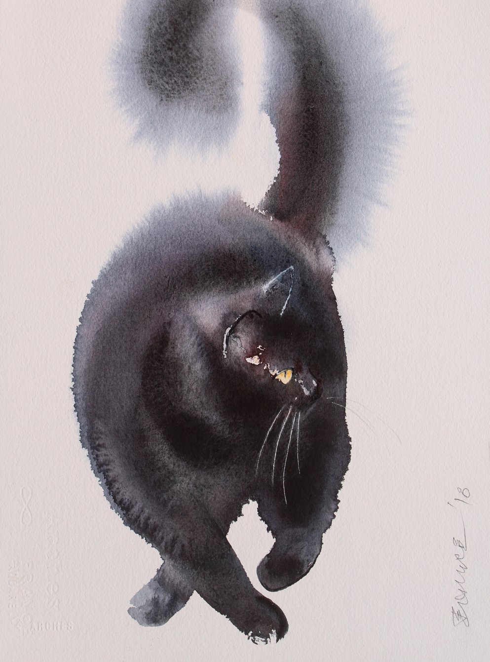 黑白的暈染美,畫布上奔馳的貓咪