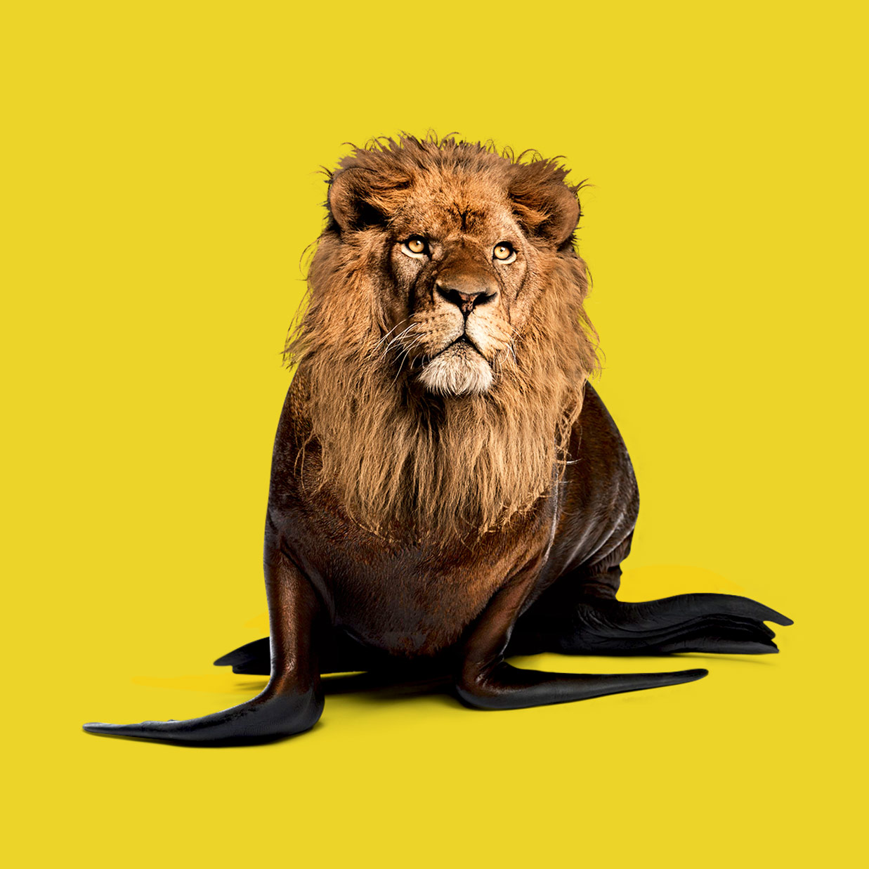 海豚香蕉你敢吃嗎?獵奇藝術照讓你後勁無窮!