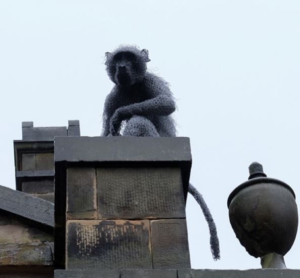 鐵絲網雕塑超逼真動物,鐵絲不再只是工具而已