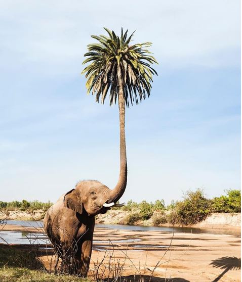 【創意分享】違反現實常態的無違和修圖