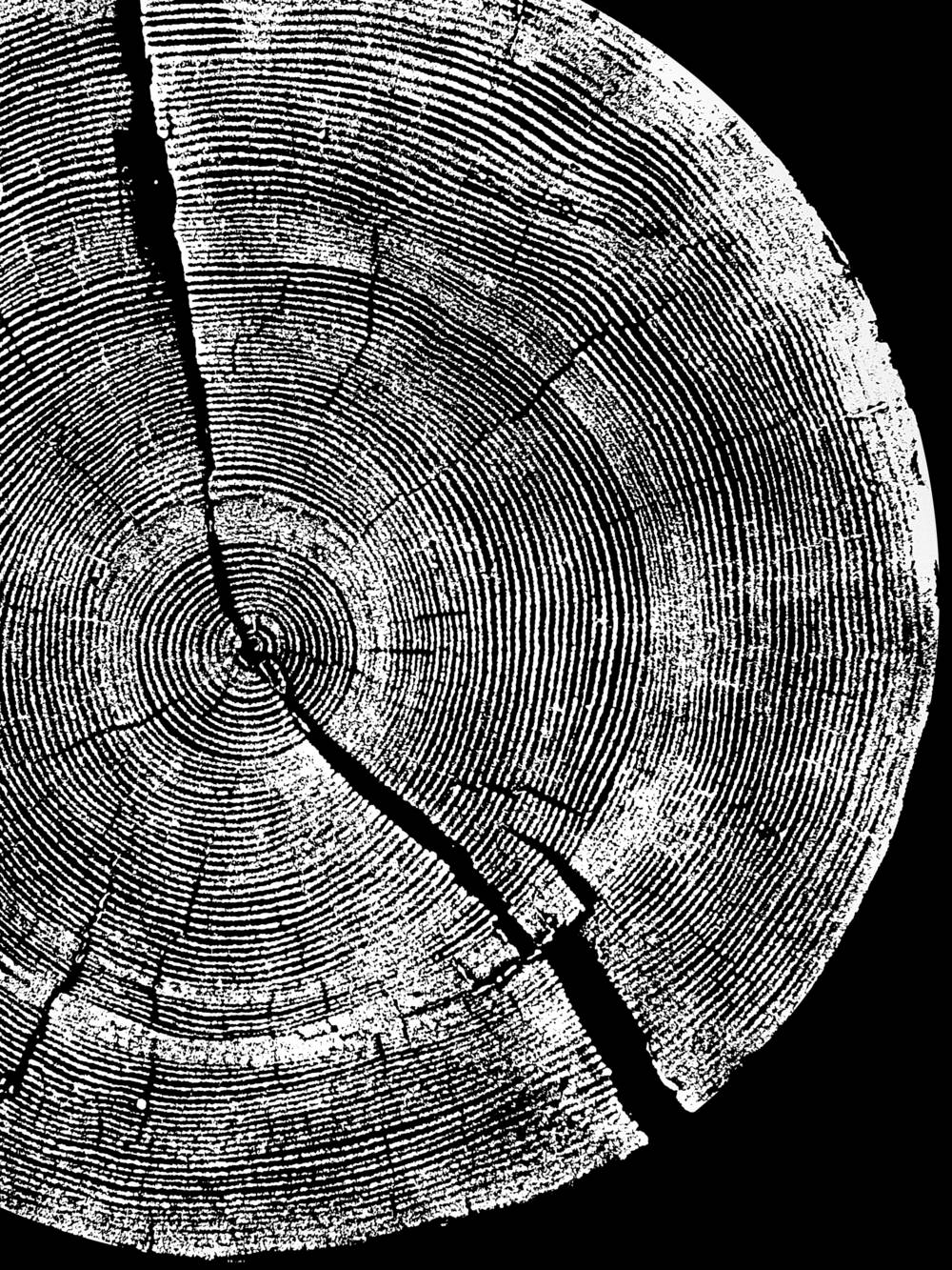 黃翊工作室+《長路》