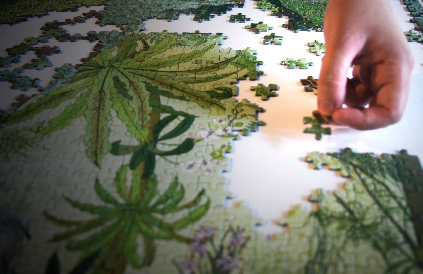 2021 林務局「生命之森」拼圖登場!大樹家的秋宴、微非不足道 2 款千片拼圖,展現台灣生態美麗樣貌 2021林務局「生命之森」拼圖3.jpeg