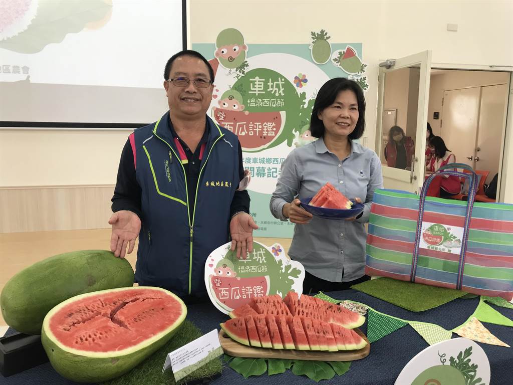 全台唯一冬天吃西瓜最當時 屏東車城西瓜節即將登場 屏東車城鄉公所將於19日舉行西瓜節,盼藉採瓜體驗等行銷車城西瓜。(謝佳潾攝)