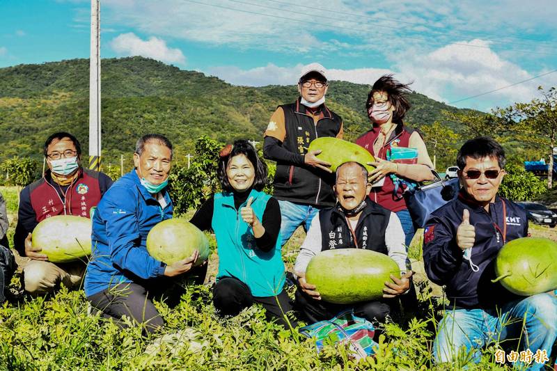 瓜田採瓜體驗受歡迎。（記者蔡宗憲攝）