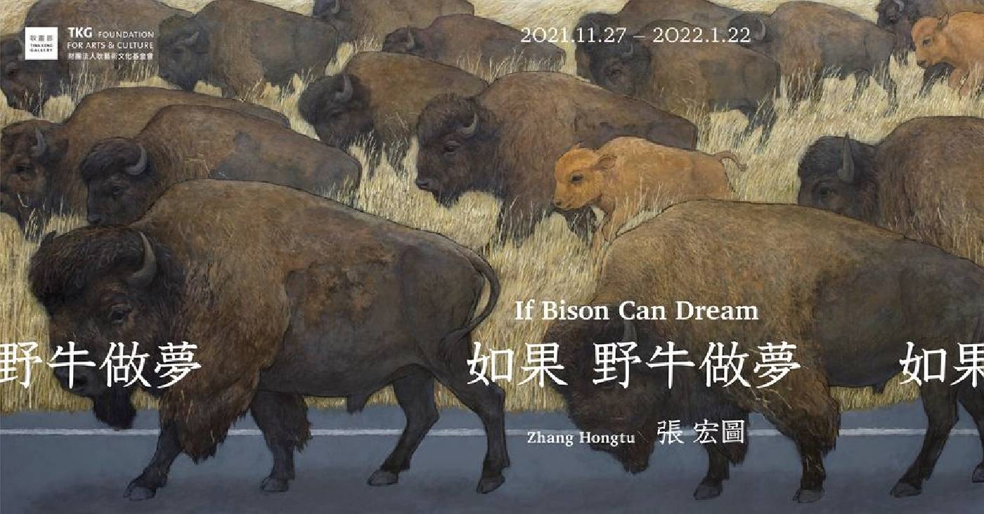 【如果野牛做夢】張宏圖 個展 耿畫廊:【如果野牛做夢】張宏圖個展- 非池中藝術網