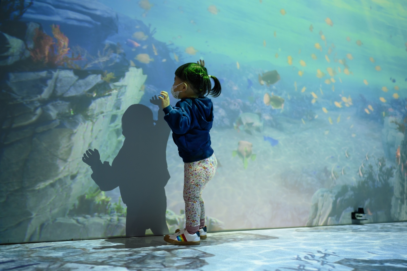 親臨摩納哥的海洋世界!桃美館推年度國際特展「走近一片海」打開多元互動型態 走近一片海01.jpg